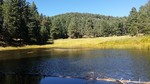 photo thumbnail #2