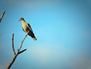 2016-09-13 :: Mesquite wash :: New2hyk