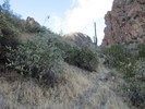 photo thumbnail #12
