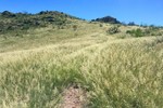 photo thumbnail #2