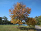 photo thumbnail #2