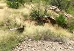 photo thumbnail #4