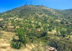 photo thumbnail #5