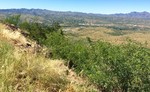 photo thumbnail #15