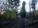 photo thumbnail #5