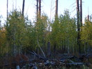 photo thumbnail #6