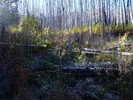 photo thumbnail #2