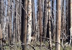 photo thumbnail #5