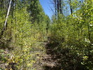 photo thumbnail #12