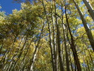 photo thumbnail #15