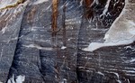 photo thumbnail #11