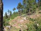photo thumbnail #13