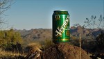 photo thumbnail #5