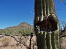 photo thumbnail #9