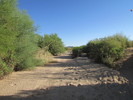 photo thumbnail #10