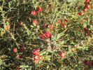 photo thumbnail #14