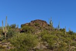 photo thumbnail #4