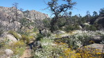 photo thumbnail #3