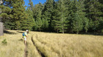 photo thumbnail #9