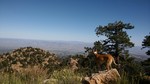 photo thumbnail #9