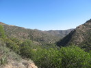 photo thumbnail #4