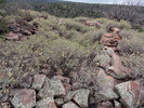 photo thumbnail #1