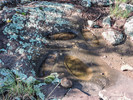 photo thumbnail #6