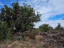 photo thumbnail #11