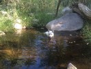 photo thumbnail #11