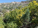 photo thumbnail #12