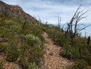 photo thumbnail #5