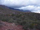 photo thumbnail #1