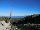photo thumbnail #10