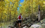 photo thumbnail #2