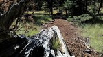 photo thumbnail #10