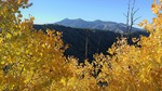 photo thumbnail #13