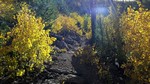 photo thumbnail #14