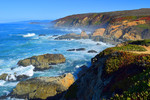 photo thumbnail #2