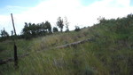 photo thumbnail #15