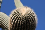 photo thumbnail #1