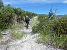 photo thumbnail #8