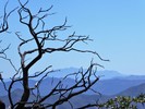 photo thumbnail #12