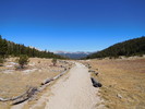 photo thumbnail #4