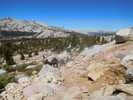 photo thumbnail #7