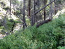 photo thumbnail #7