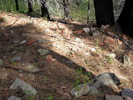 photo thumbnail #9