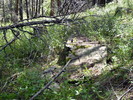 photo thumbnail #10