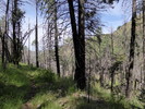 photo thumbnail #13