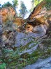 photo thumbnail #4