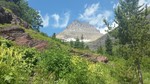 photo thumbnail #6